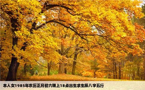 本人女1985年农历正月初六晚上18点出生求生辰八字五行