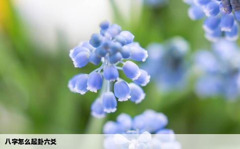 八字怎么起卦六爻