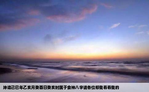 坤造己巳年乙亥月癸酉日癸亥时属于食神八字请各位帮我看看我的