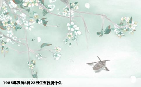 1985年农历6月22日生五行属什么