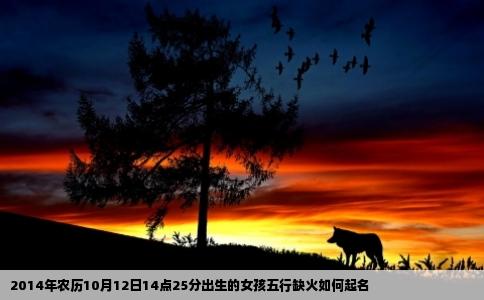 2014年农历10月12日14点25分出生的女孩五行缺火如何起名