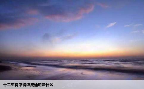 十二生肖中得道成仙的是什么