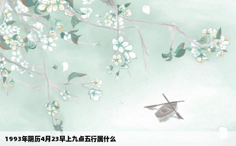 1993年阴历4月23早上九点五行属什么