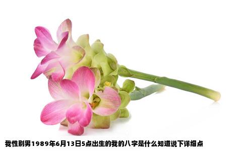 我性别男1989年6月13日5点出生的我的八字是什么知道说下详细点