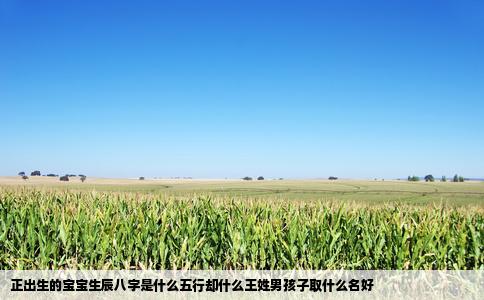 正出生的宝宝生辰八字是什么五行却什么王姓男孩子取什么名好