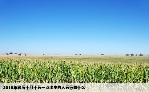 2015年农历十月十五一点出生的人五行缺什么