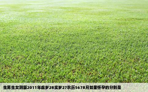生男生女测算2011年虚岁28实岁27农历5678月如果怀孕的分别是
