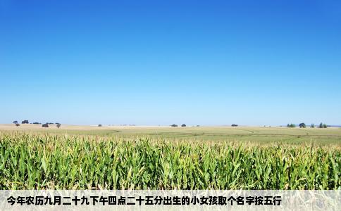 今年农历九月二十九下午四点二十五分出生的小女孩取个名字按五行