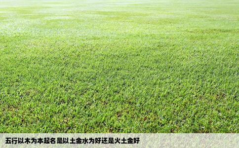五行以木为本起名是以土金水为好还是火土金好