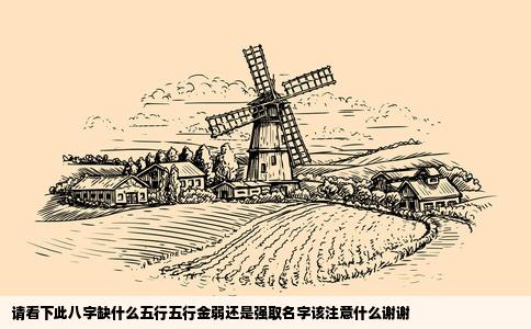 请看下此八字缺什么五行五行金弱还是强取名字该注意什么谢谢