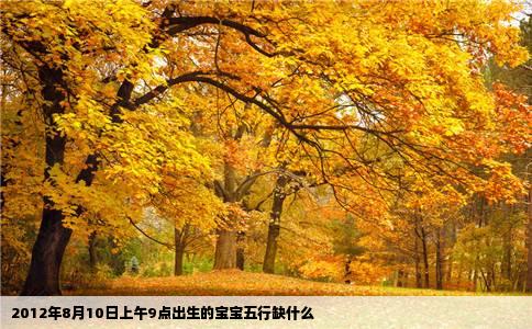 2012年8月10日上午9点出生的宝宝五行缺什么