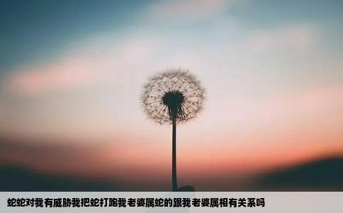 蛇蛇对我有威胁我把蛇打跑我老婆属蛇的跟我老婆属相有关系吗