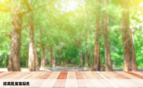给龙凤宝宝起名