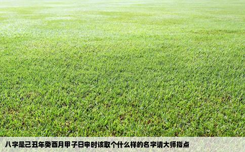 八字是己丑年癸酉月甲子日申时该取个什么样的名字请大师指点