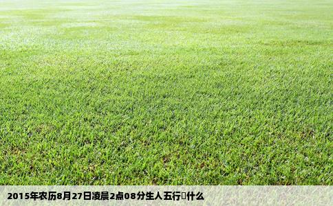 2015年农历8月27日凌晨2点08分生人五行缼什么