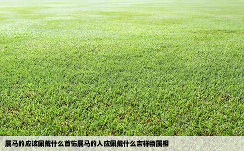 属马的应该佩戴什么首饰属马的人应佩戴什么吉祥物属相