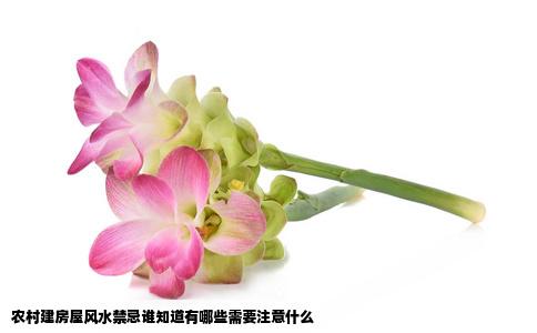 农村建房屋风水禁忌谁知道有哪些需要注意什么