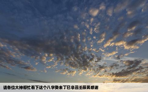 请各位大神帮忙看下这个八字癸未丁巳辛丑壬辰男感谢