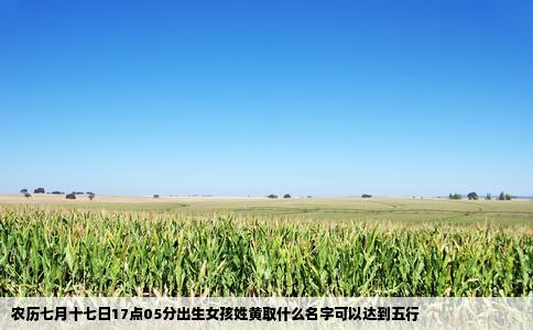 农历七月十七日17点05分出生女孩姓黄取什么名字可以达到五行