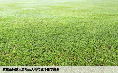 女孩五行缺火麻烦高人帮忙取个名字谢谢