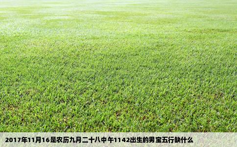 2017年11月16是农历九月二十八中午1142出生的男宝五行缺什么