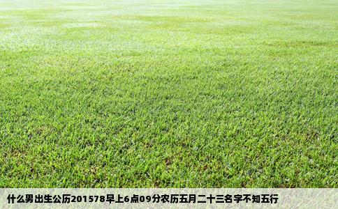 什么男出生公历201578早上6点09分农历五月二十三名字不知五行
