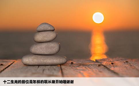十二生肖的排位是怎样的啊从猪开始哦谢谢