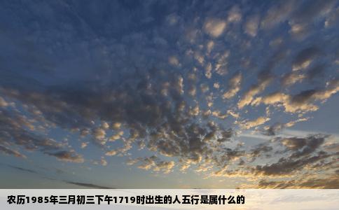 农历1985年三月初三下午1719时出生的人五行是属什么的