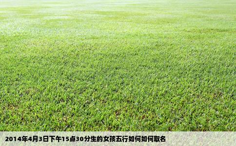 2014年4月3日下午15点30分生的女孩五行如何如何取名