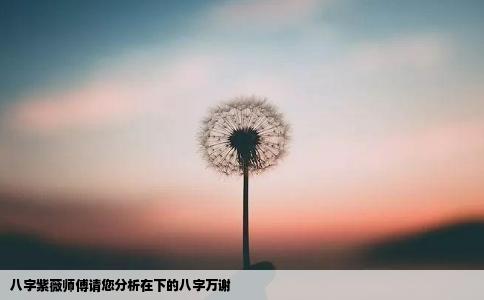 八字紫薇师傅请您分析在下的八字万谢