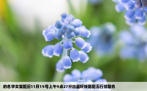 的名字女宝阳历11月19号上午9点27分出最好按阴阳五行给取名