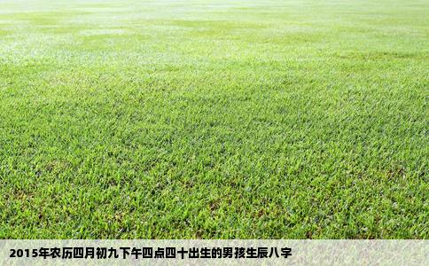 2015年农历四月初九下午四点四十出生的男孩生辰八字