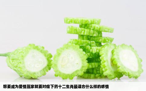 想要成为爱情赢家就要对症下药十二生肖最适合什么样的感情