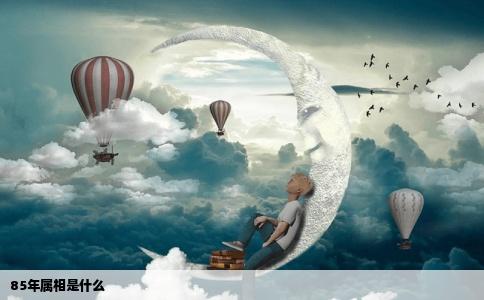85年属相是什么