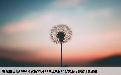 我是生日是1986年农历11月21晚上8点10分女五行都是什么谢谢