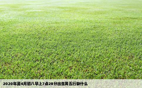 2020年润4月初八早上7点28分出生男五行缺什么