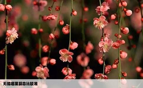 无锡哪里算命比较准