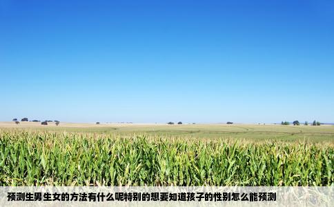 预测生男生女的方法有什么呢特别的想要知道孩子的性别怎么能预测