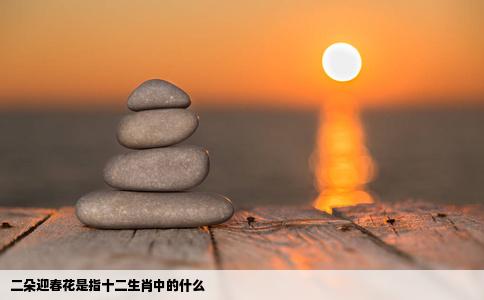 二朵迎春花是指十二生肖中的什么