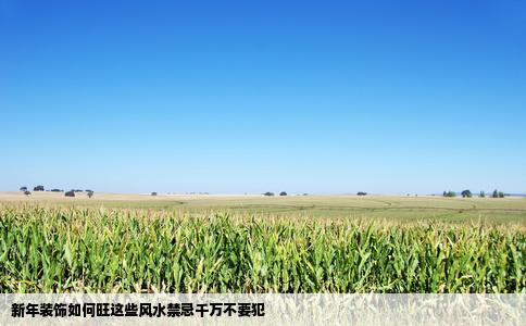 新年装饰如何旺这些风水禁忌千万不要犯