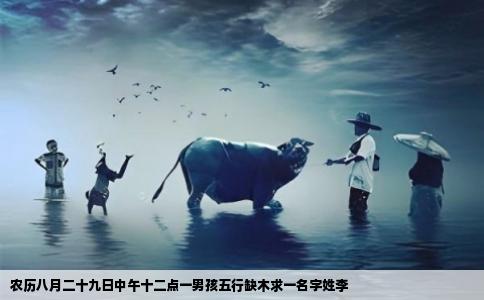 农历八月二十九日中午十二点一男孩五行缺木求一名字姓李