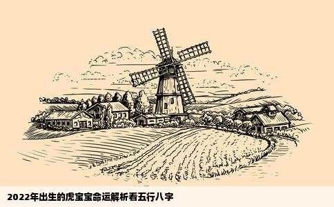 2022年出生的虎宝宝命运解析看五行八字