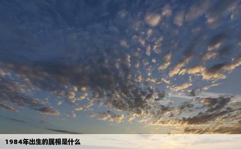 1984年出生的属相是什么