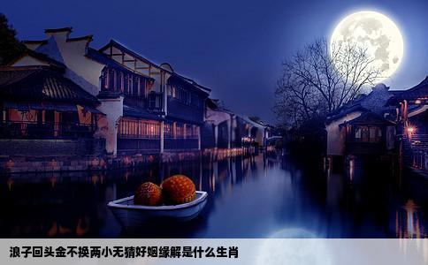 浪子回头金不换两小无猜好姻缘解是什么生肖