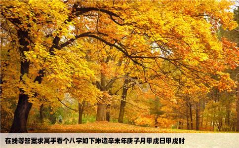 在线等答案求高手看个八字如下坤造辛未年庚子月甲戌日甲戌时