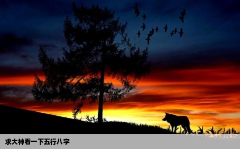 求大神看一下五行八字