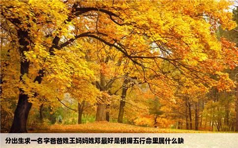 分出生求一名字爸爸姓王妈妈姓邓最好是根据五行命里属什么缺