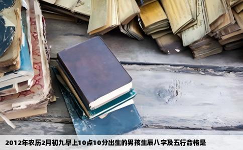 2012年农历2月初九早上10点10分出生的男孩生辰八字及五行命格是