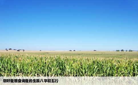 您好我想查询我的生辰八字和五行