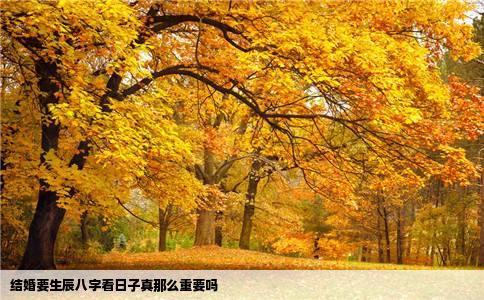 结婚要生辰八字看日子真那么重要吗